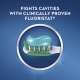 Crest Cavity Protection dantų pasta 181g