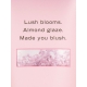 Victoria's Secret Velvet Petals kūno losjonas