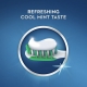 Crest Tartar dantų pasta 232g